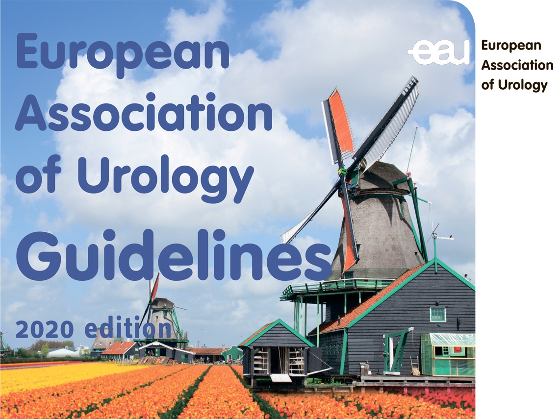 Urology EAU Guidelines 2020